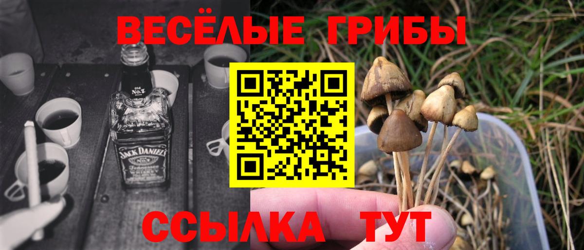 Галлюциногенные грибы ЛСД Горячий Ключ